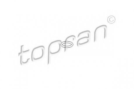 Прокладка, масляный насос TOPRAN 205589 (фото 1)