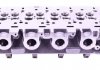 Головка блоку циліндрів (без клапанів та розподільчих валів) AMC 908797 (фото 9)