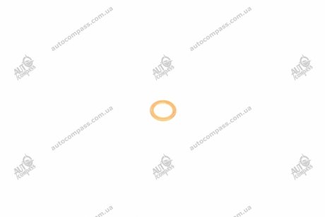 Защільнювальне кільце BMW 7119905041