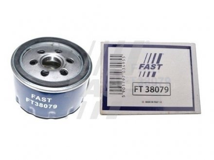 Фильтр масляный ALFA ROMEO 156 97-05, RENAULT CLIO III 05-12, RENAULT MEGANE II 03-09 FAST FT38079 (фото 1)