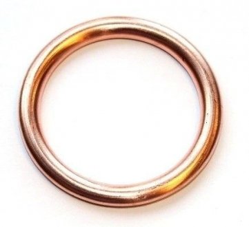Уплотнительное кольцо, резьбовая пр, Уплотнительное кольцо Elring 813.192 (фото 1)