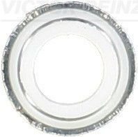 Уплотнительное кольцо, стержень кла Victor Reinz 70-25792-00 (фото 1)