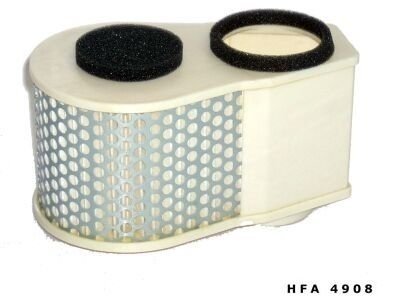 Воздушный фильтр HIFLO HFA4908 (фото 1)
