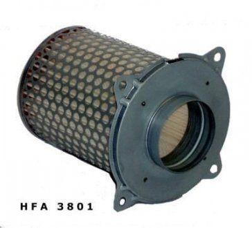 Воздушный фильтр HIFLO HFA3801 (фото 1)