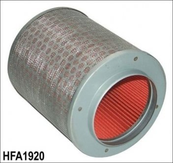 Воздушный фильтр HIFLO HFA1920 (фото 1)