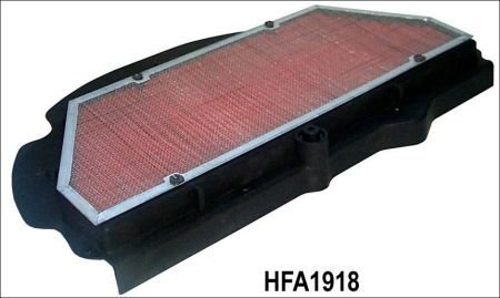 Воздушный фильтр HIFLO HFA1918 (фото 1)