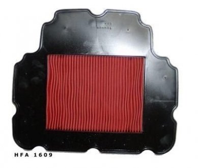 Воздушный фильтр HIFLO HFA1609 (фото 1)