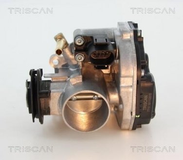 Дроссельная заслонка Triscan 8820 29012 (фото 1)
