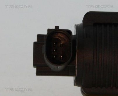 Клапан рецеркуляції відпрацьованих газів Triscan 8813 24055 (фото 1)