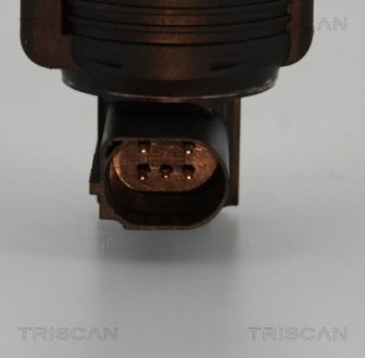 Клапан рецеркуляції відпрацьованих газів Triscan 8813 25005 (фото 1)