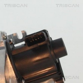 Клапан рецеркуляції відпрацьованих газів Triscan 8813 10007 (фото 1)