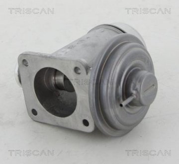 Клапан рецеркуляції відпрацьованих газів Triscan 8813 11102 (фото 1)