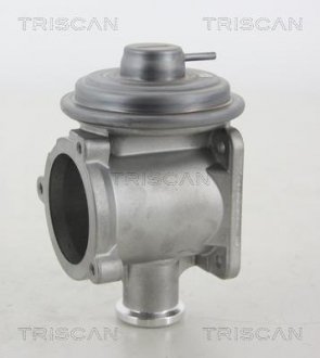 Клапан рецеркуляції відпрацьованих газів Triscan 8813 11105 (фото 1)