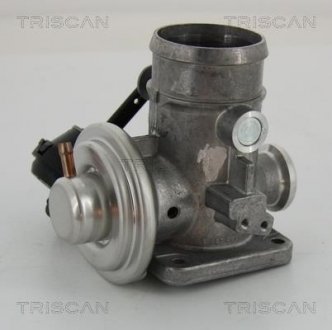 Клапан EGR VW LT 28-46 2.5 TDI 99- Triscan 8813 29300 (фото 1)