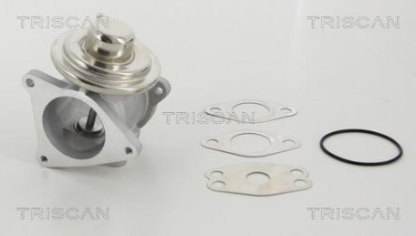 Клапан рецеркуляції відпрацьованих газів Triscan 8813 29111 (фото 1)
