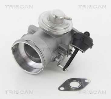 Клапан AGR VW T5 2.5TDI 03- Triscan 8813 29056 (фото 1)