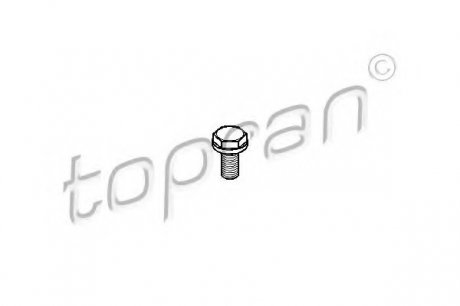 Болт маховика TOPRAN 110260 (фото 1)