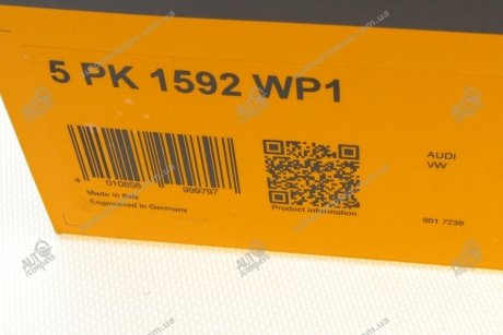 Роликовий модуль натягувача ременя (ролик, ремінь, помпа) Contitech 5PK1592WP1