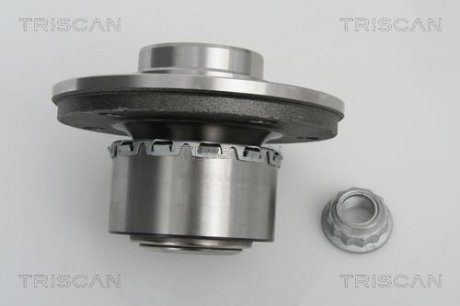 Комплект ступицы колеса Triscan 8530 29011 (фото 1)
