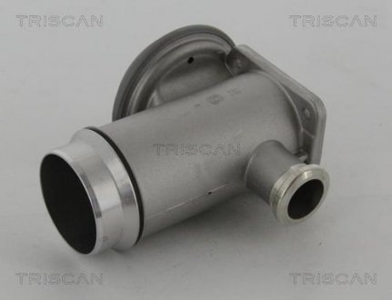 Клапан рецеркуляції відпрацьованих газів Triscan 8813 11005 (фото 1)
