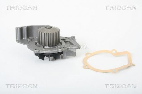 Насос системи охолодження двигуна Triscan 8600 10009 (фото 1)