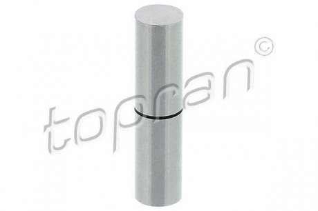 Шток привода вакуумного насоса VW Crafter 2.5TDI 06- TOPRAN 117515