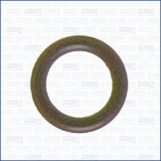 Уплотнительное кольцо, стержень кла AJUSA.16004200 (фото 1)