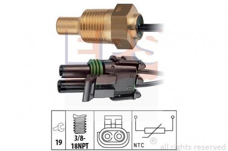 Датчик температуры охлаждающей жидкости EPS 1 830 307 (фото 1)