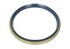Уплотняющее кольцо Corteco 12017138B (фото 1)