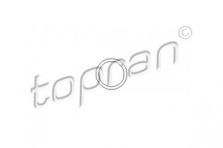 Уплотнительное кільце, клапанная форсунка TOPRAN 107 316 (фото 1)