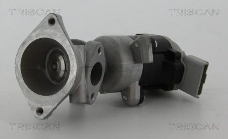 Клапан повернення відпрацьованих газів двигуна Triscan 8813 17020 (фото 1)