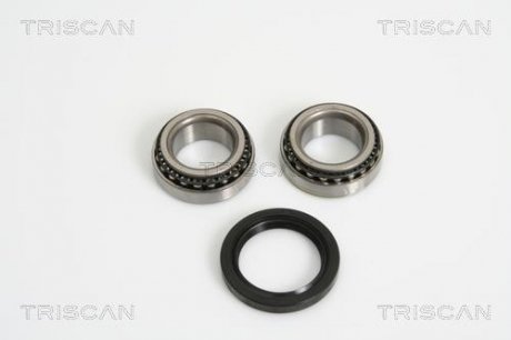 Комплект ступицы колеса. позаду Triscan 8530 16222 (фото 1)