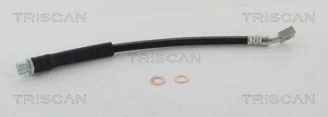Тормозной шланг Triscan 8150 17300 (фото 1)