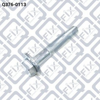 Болт з ексцентриком Q-FIX Q3760113 (фото 1)