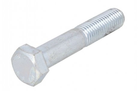 Оцинковані шестигранні болти S-TR STR-M18X2,5/100-1 (фото 1)
