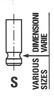 Клапан головки блоку циліндрів двигуна FRECCIA R6284/SNT (фото 1)