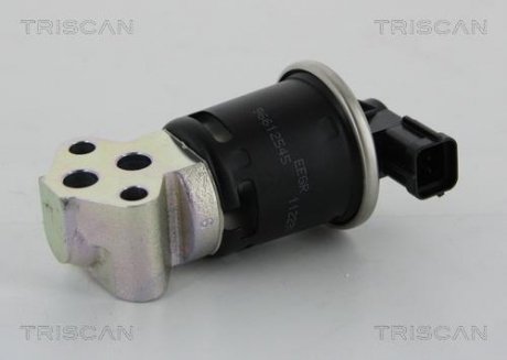 Клапан повернення відпрацьованих газів двигуна Triscan 8813 21008 (фото 1)