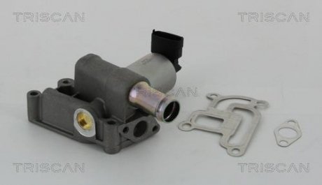 Клапан повернення відпрацьованих газів двигуна Triscan 8813 24200 (фото 1)