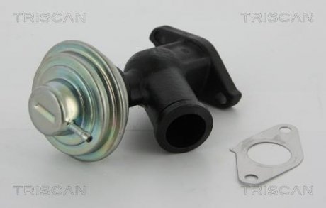 Клапан повернення відпрацьованих газів двигуна Triscan 8813 10011 (фото 1)