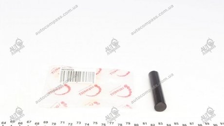 Палець помпи вакуумної ROTWEISS RWS1301