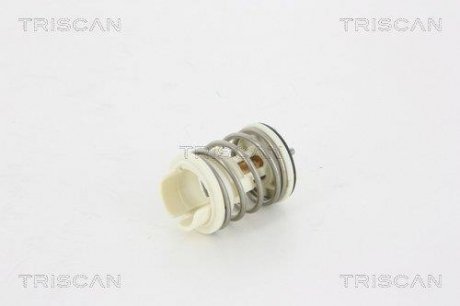 Термостат Triscan 8620 33380 (фото 1)