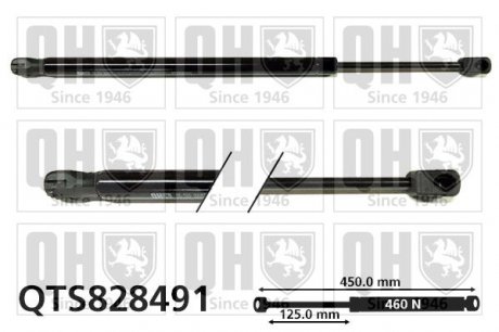 Амортизатор багажника L 450mm, 460N QH QTS828491 (фото 1)