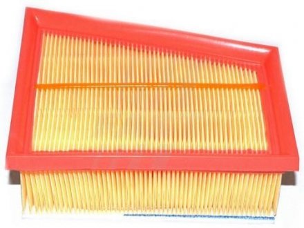 Фільтр повітряний RENAULT DUSTER 10-18. RENAULT LAGUNA II 00-07. RENAULT TRAFIC 00-14 FAST FT37164 (фото 1)
