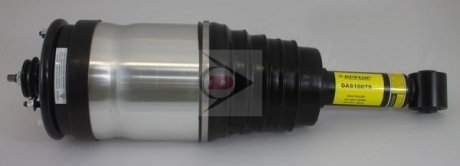 Амортизатор газомасляний DUNLOP DAS10079 (фото 1)