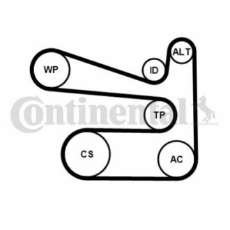 Комплект поліклиновий (ремень+ролики) Contitech 6PK1693 K1 (фото 1)