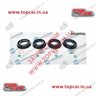 Комплект ущільнювачів з різних матеріалів DR MOTOR DRM014SL