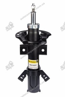 Амортизатор передній лів./пр Ford Mondeo V 14- (газ.) Raiso RS319551